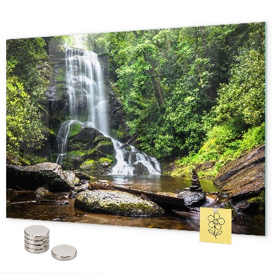 Tableau magnétique mural Cascade forestière