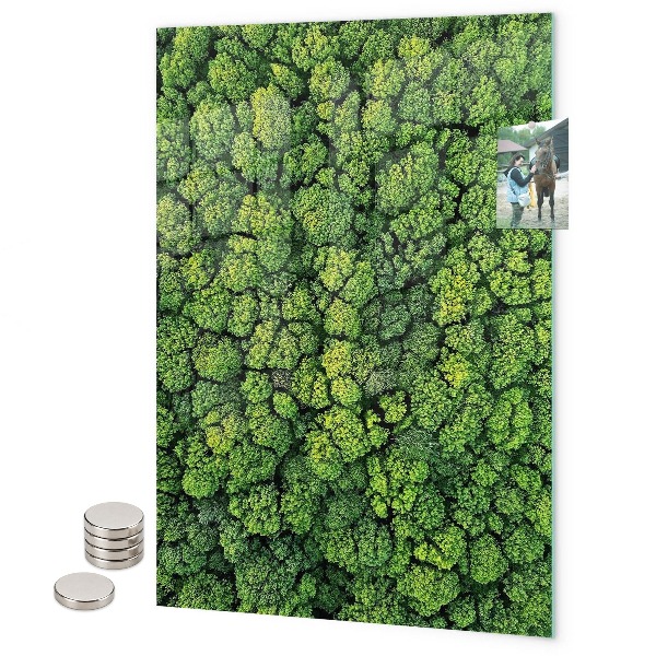 Tableau magnétique décoratif Basilic