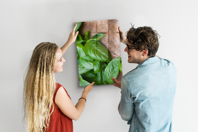 Tableau magnétique décoratif Basilic