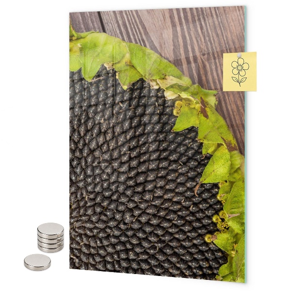 Tableau aimanté graines de tournesol