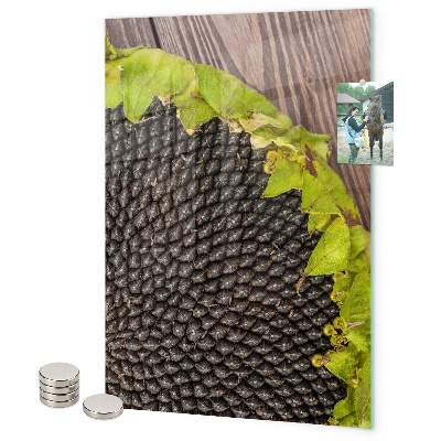 Tableau aimanté graines de tournesol