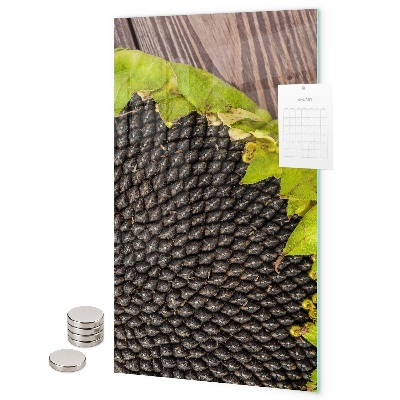 Tableau aimanté graines de tournesol