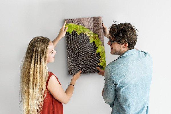 Tableau aimanté graines de tournesol