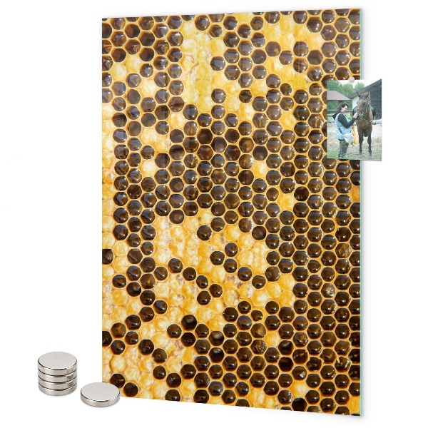 Tableau aimanté Rayon de miel