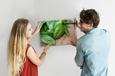 Tableau magnétique feuilles de basilic