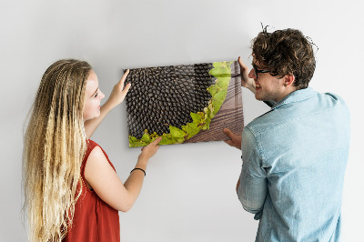Tableau magnétique mural Tournesol
