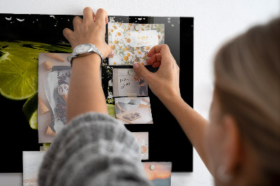 Tableau magnétique mural Citrons verts