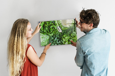 Tableau magnétique mural Légumes verts