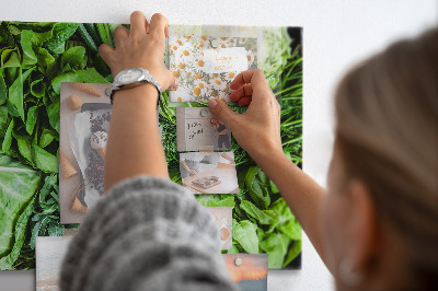 Tableau magnétique mural Légumes verts