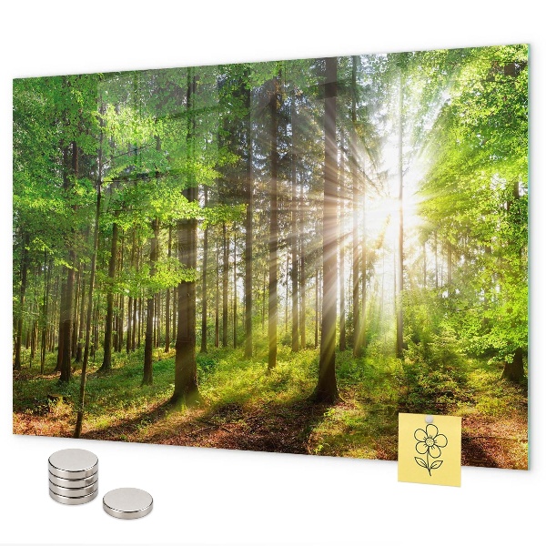 Tableau magnétique Lever de soleil dans la forêt