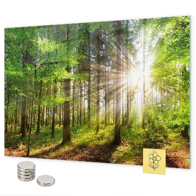 Tableau magnétique Lever de soleil dans la forêt