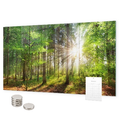 Tableau magnétique Lever de soleil dans la forêt