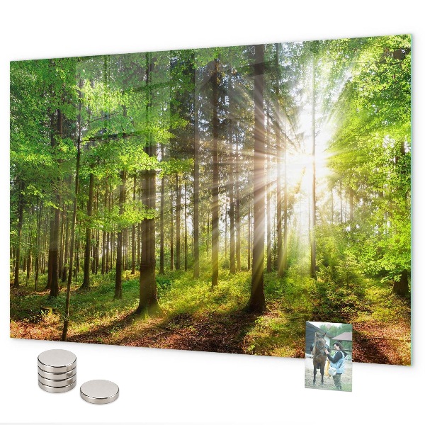 Tableau magnétique Lever de soleil dans la forêt