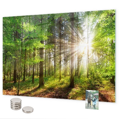 Tableau magnétique Lever de soleil dans la forêt