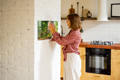 Tableau magnétique Lever de soleil dans la forêt