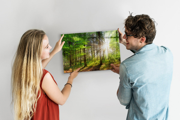 Tableau magnétique Lever de soleil dans la forêt