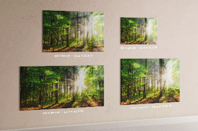 Tableau magnétique Lever de soleil dans la forêt