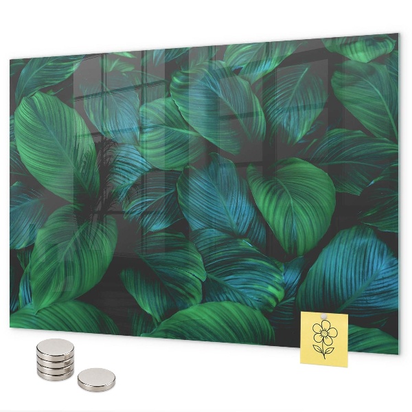 Tableau magnétique mural Feuilles de la nature