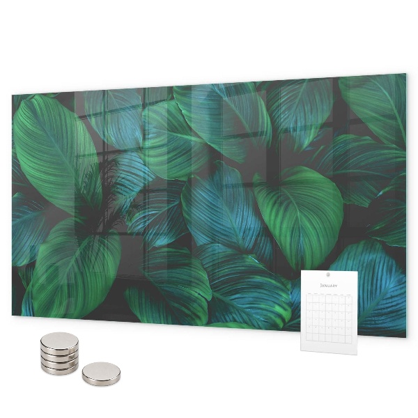 Tableau magnétique mural Feuilles de la nature