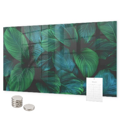 Tableau magnétique mural Feuilles de la nature
