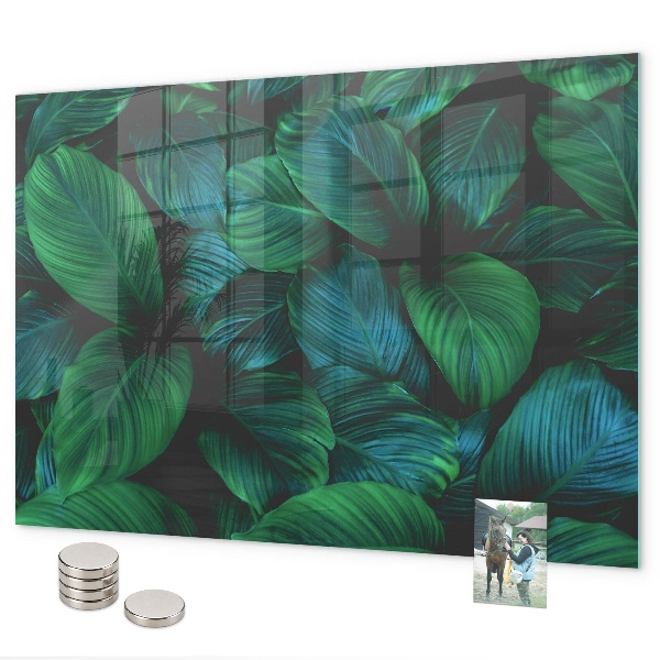 Tableau magnétique mural Feuilles de la nature