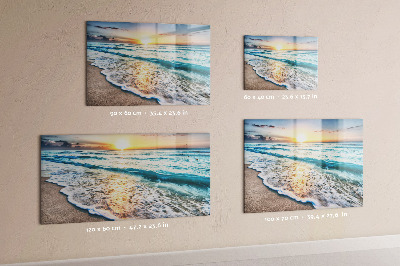 Tableau magnétique Sable marin sur la plage