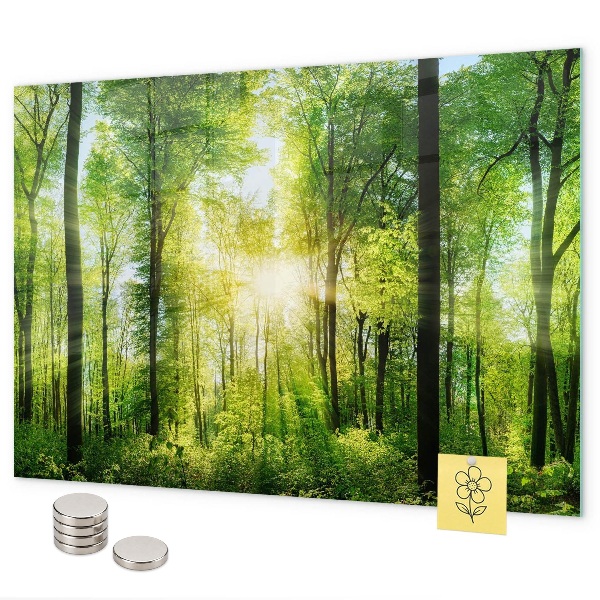 Les arbres de la forêt de la nature
