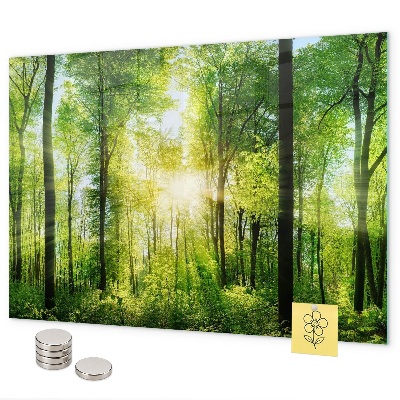 Tableau magnétique mural Les arbres de la forêt de la nature