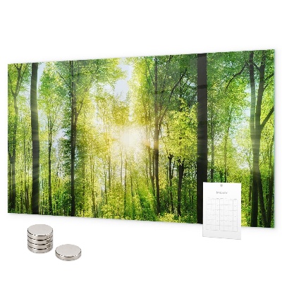 Tableau magnétique mural Les arbres de la forêt de la nature