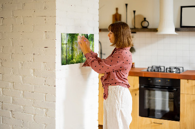 Tableau magnétique mural Les arbres de la forêt de la nature