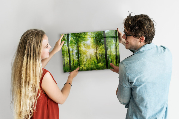 Tableau magnétique mural Les arbres de la forêt de la nature
