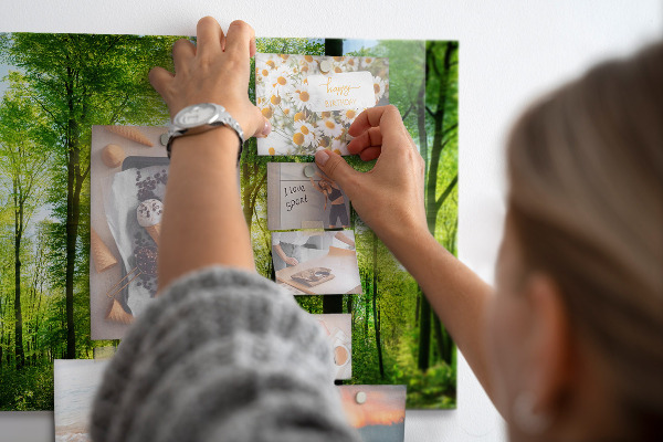 Tableau magnétique mural Les arbres de la forêt de la nature