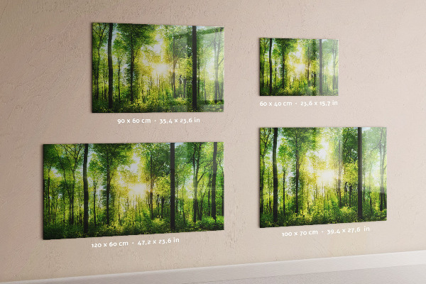 Tableau magnétique mural Les arbres de la forêt de la nature
