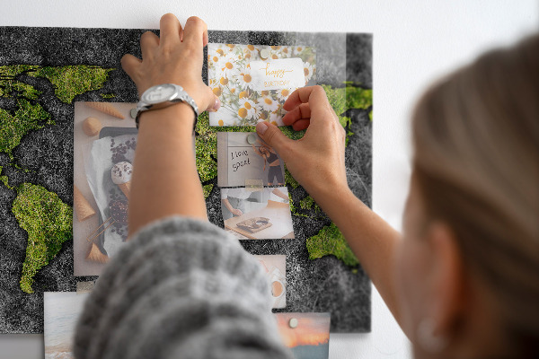 Tableau magnétique mural Carte du monde