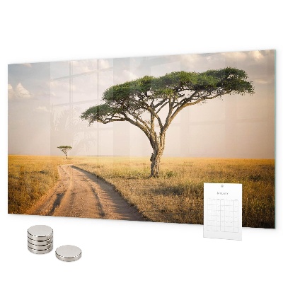 Tableau magnétique mural paysage africain