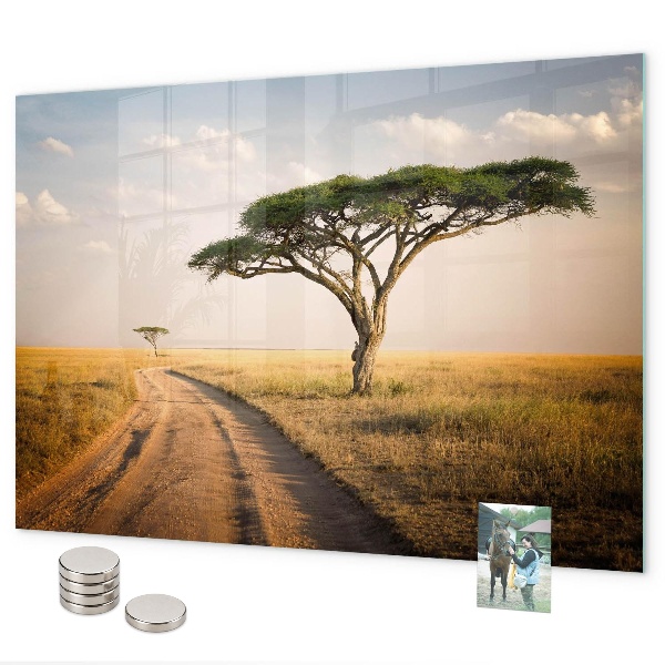 Tableau magnétique mural paysage africain