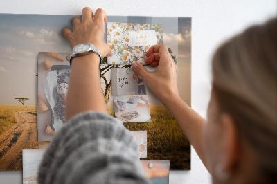 Tableau magnétique mural paysage africain