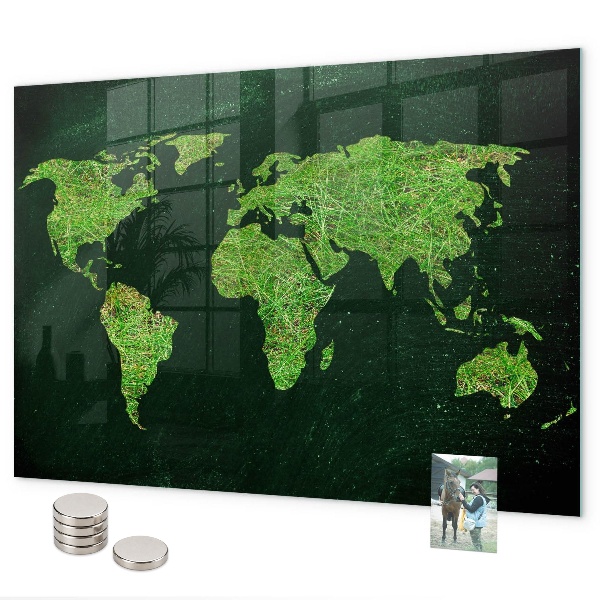 Tableau magnétique mural Carte du monde herbeuse