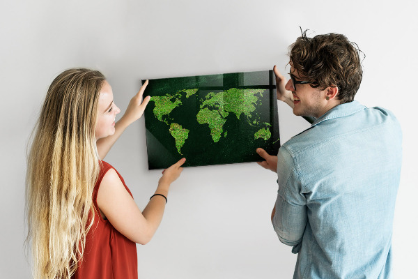 Tableau magnétique mural Carte du monde herbeuse