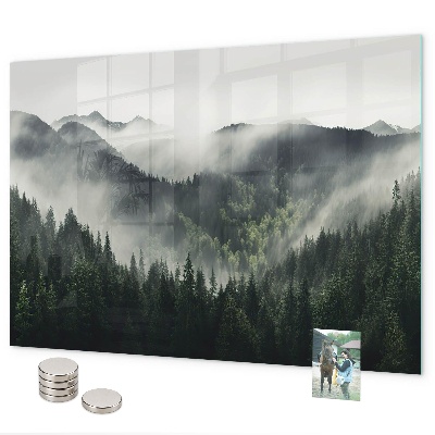 Tableau magnétique mural paysage forestier