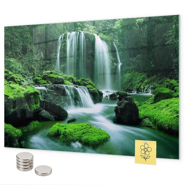 Tableau magnétique mural Cascade au milieu de la mousse
