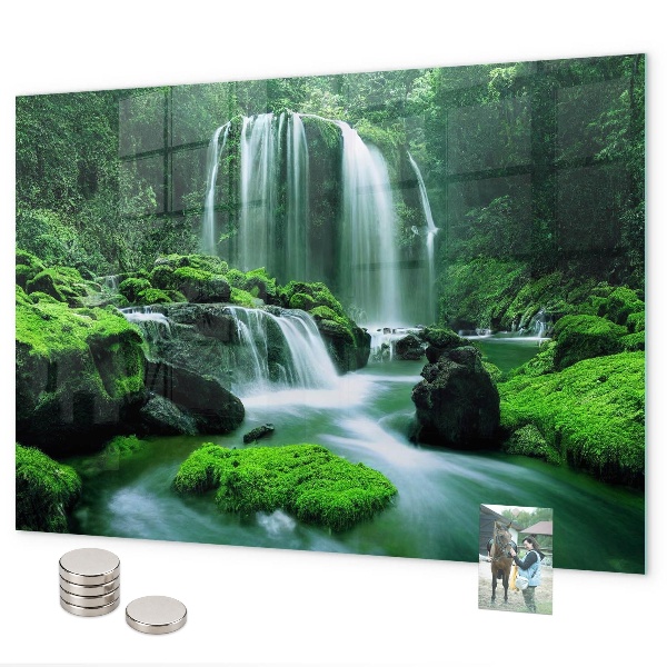 Tableau magnétique mural Cascade au milieu de la mousse