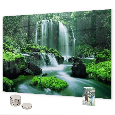 Tableau magnétique mural Cascade au milieu de la mousse