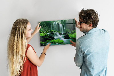 Tableau magnétique mural Cascade au milieu de la mousse