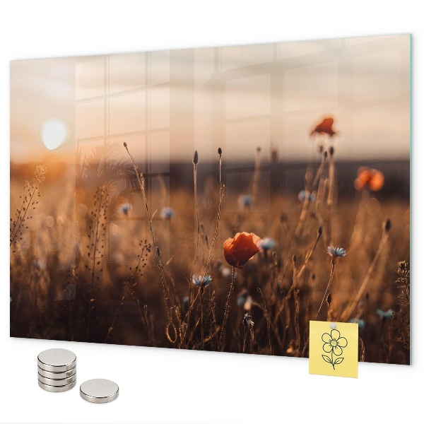 Tableau magnétique mural Lever du soleil dans le champ