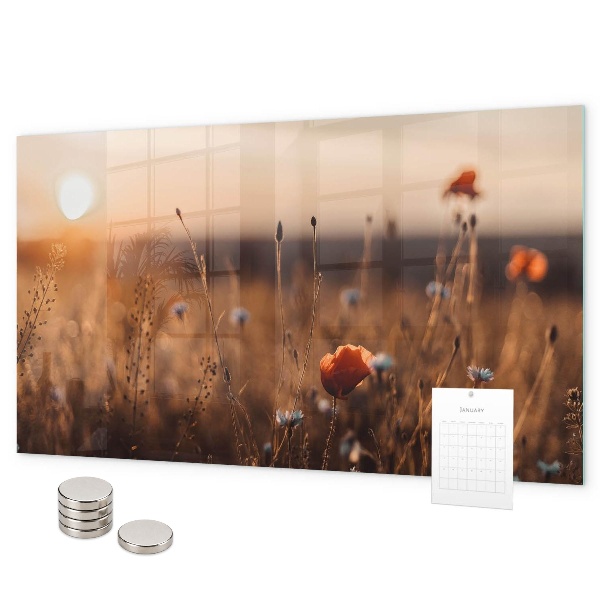 Tableau magnétique mural Lever du soleil dans le champ