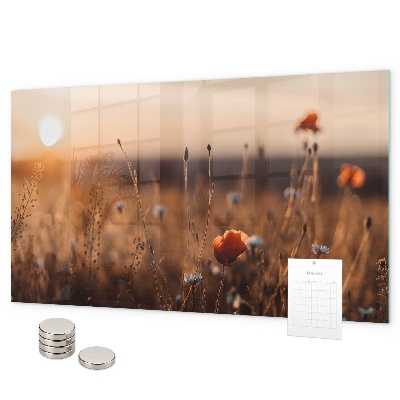 Tableau magnétique mural Lever du soleil dans le champ