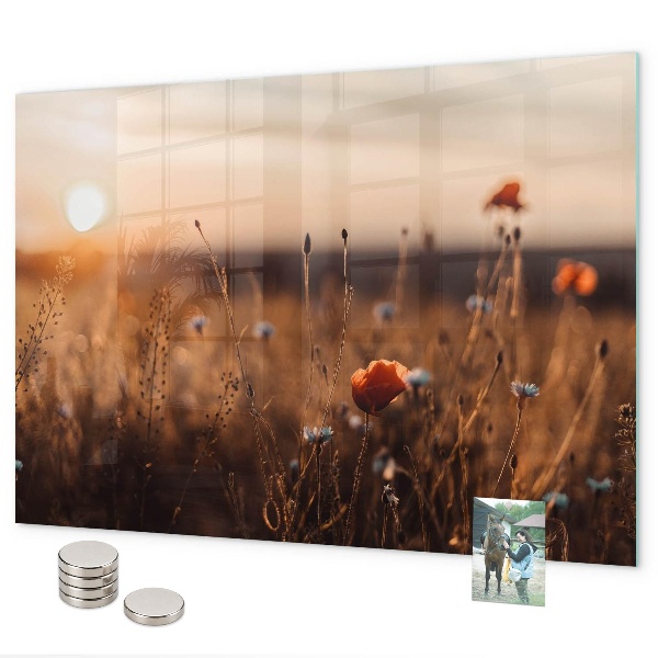 Tableau magnétique mural Lever du soleil dans le champ