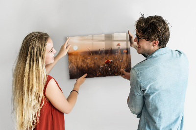 Tableau magnétique mural Lever du soleil dans le champ