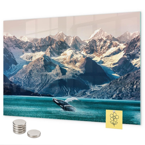 Tableau magnétique mural Eau de baleine